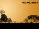 brosses_arbres.jpg